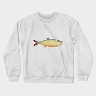 Amazon Pellona Crewneck Sweatshirt